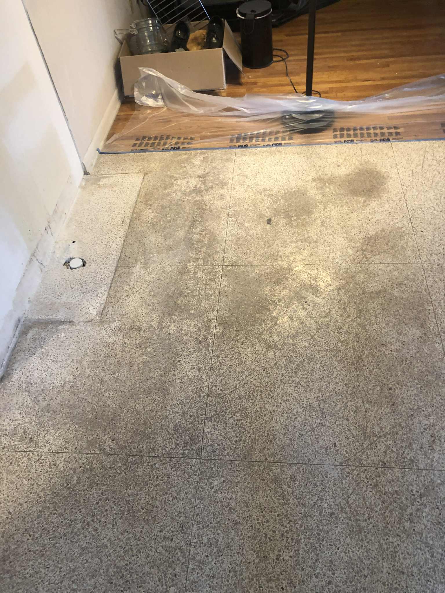 School terrazzo floor restoration