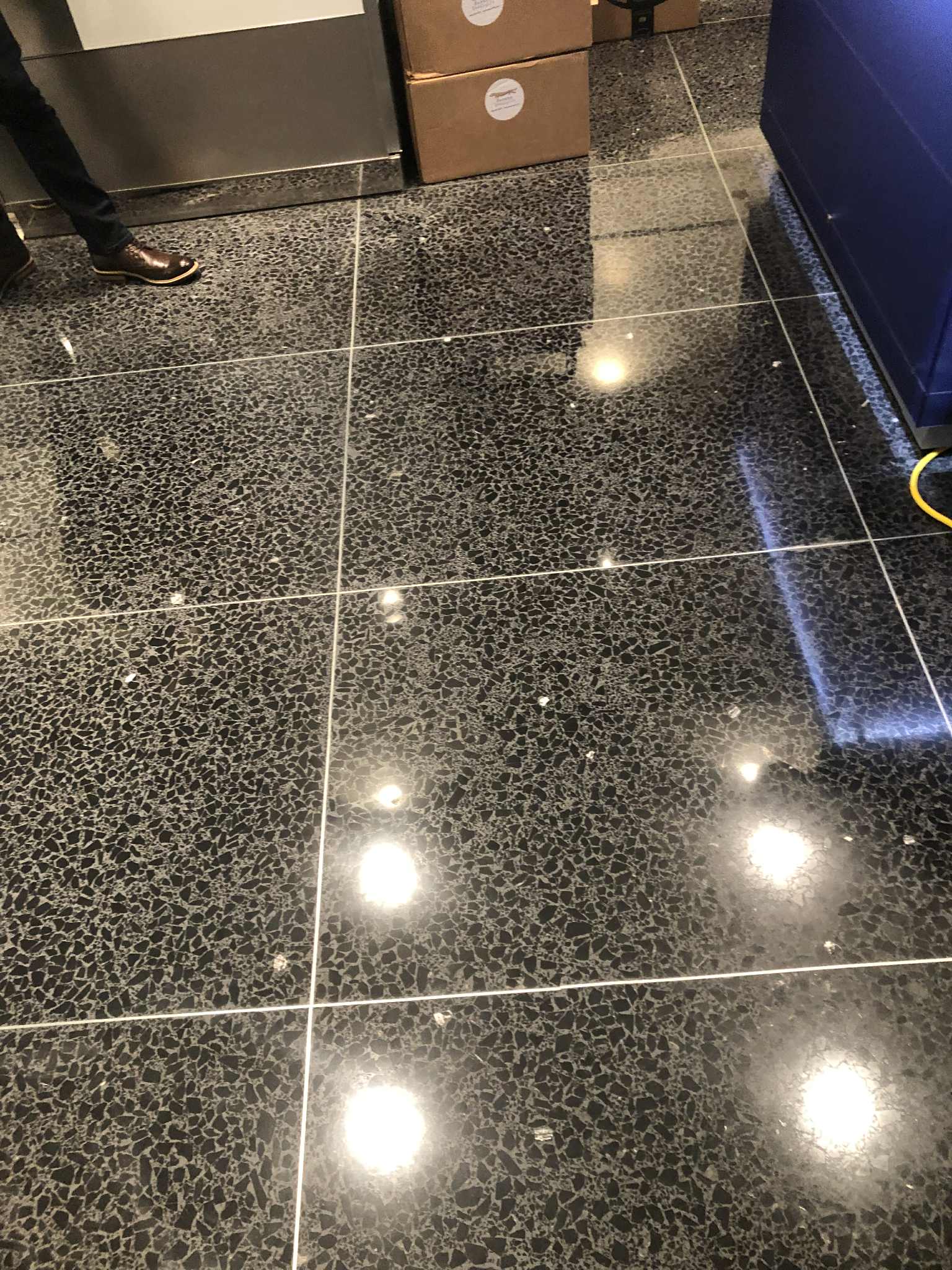 Historic terrazzo floor preservation
